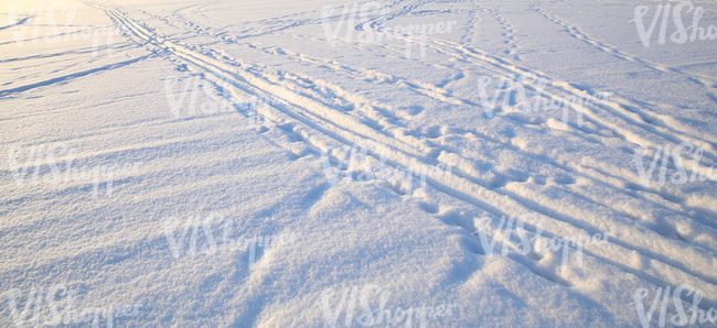 field of snow with different tracks