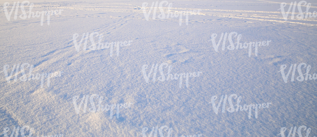 field of snow