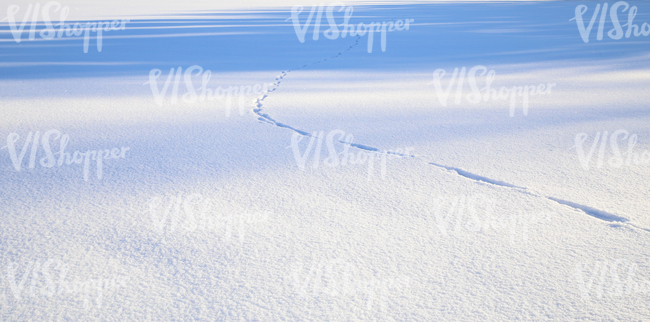 field of snow with footprints and tree shadows