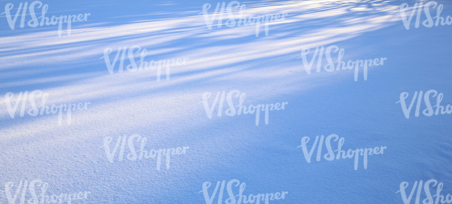 field of snow with tree shadows