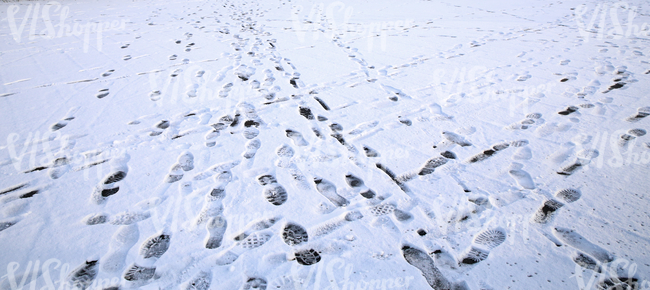snow covered ground with lots of footprints
