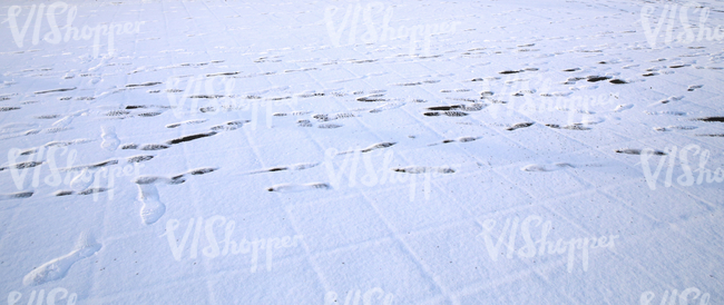 snow covered ground with footprints