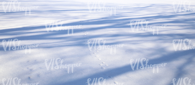 field of snow with tree shadows