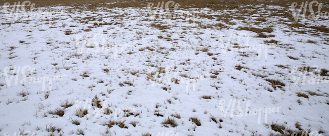 snow-covered ground