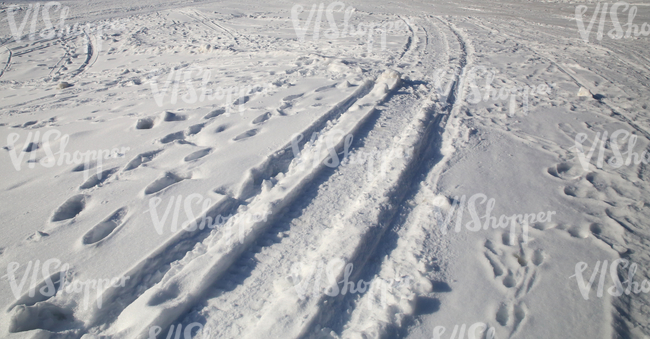 snow-covered ground with snowmobile tracks and footprints