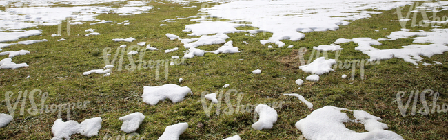 grass ground with patches of snow