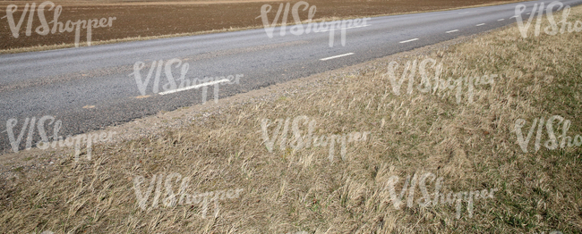 country road and dry grass in the foreground