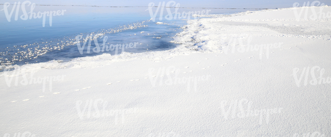 seashore in winter