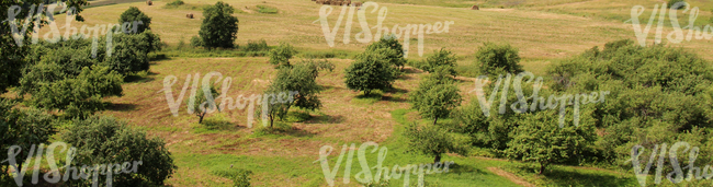 landscape with an orchard and a hayfield seen from above