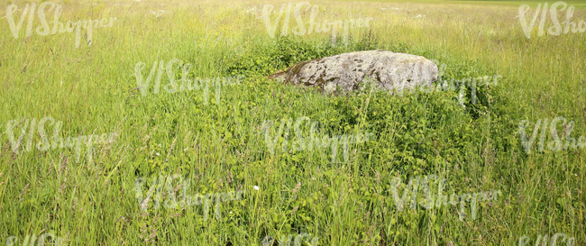 big rock on a field of grass