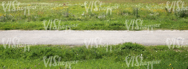 small country road in a summer landscape