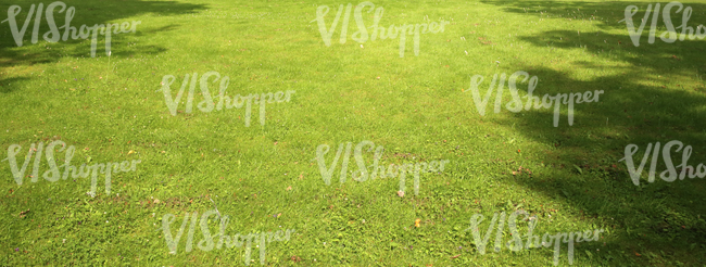 green lawn with tree shadows on the sides