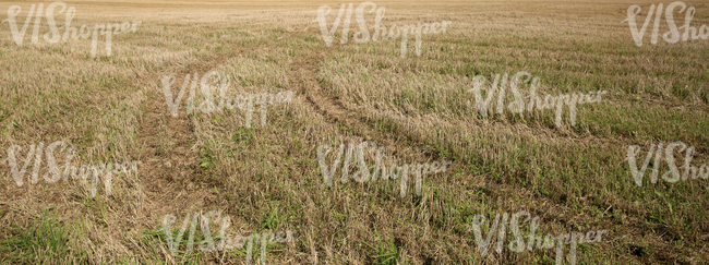 harvested field with machine tracks