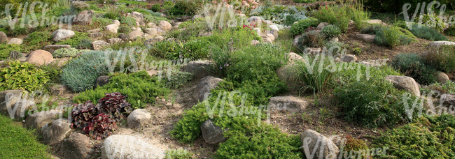 sloped garden ground with rocks and plants