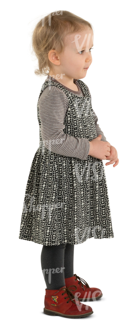 little girl in a grey dress standing