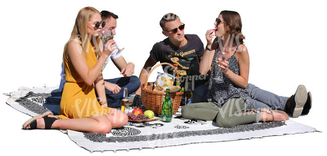 four people having a picnic