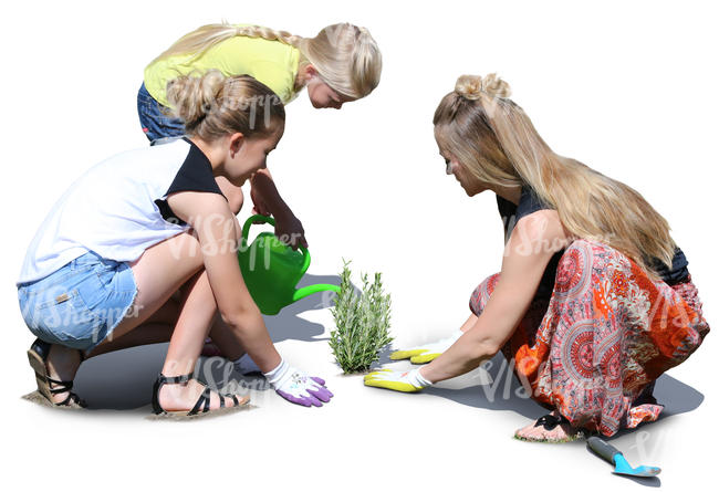 mother with two daughters planting in the garden