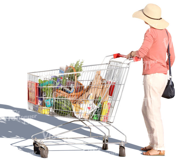 woman standing with a shopping cart