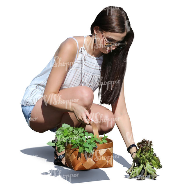 woman picking herbs in the garden