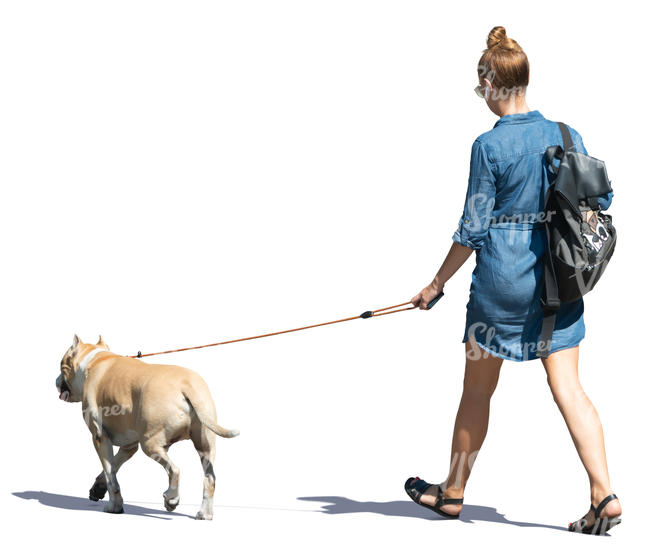 woman in a denim dress walking a dog