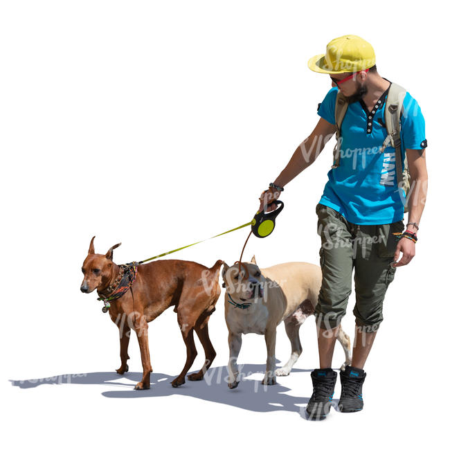 man walking with two dogs