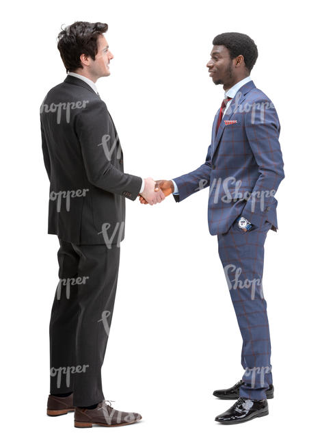 two businessmen shaking hands