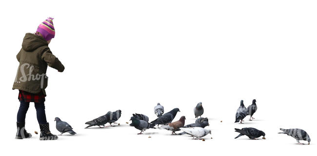 little girl feeding pigeons