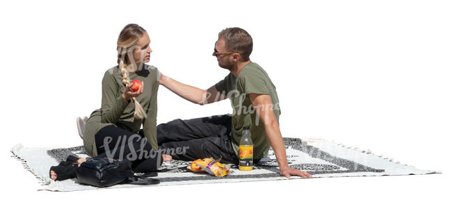 couple having a picnic