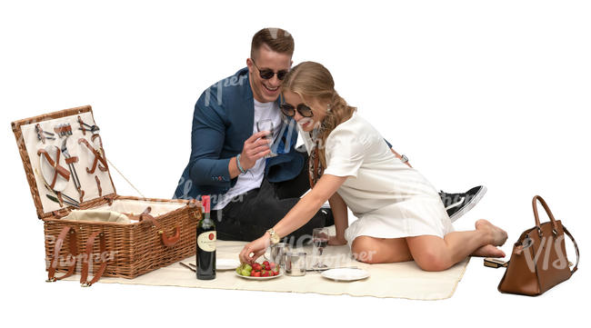 man and woman having a fancy picnic