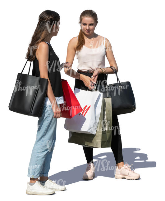 two young women with shopping bags standing