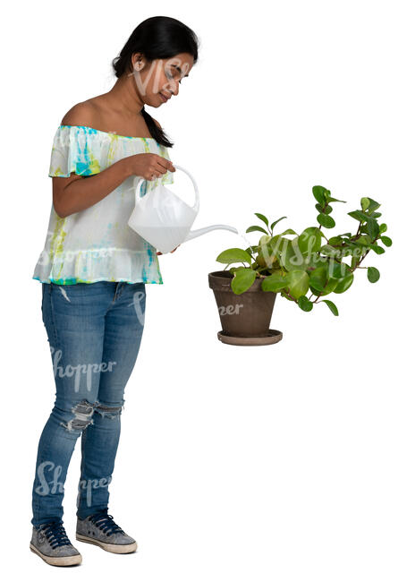 woman watering house plants