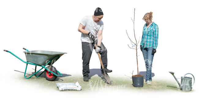 man and woman planting a tree in a garden