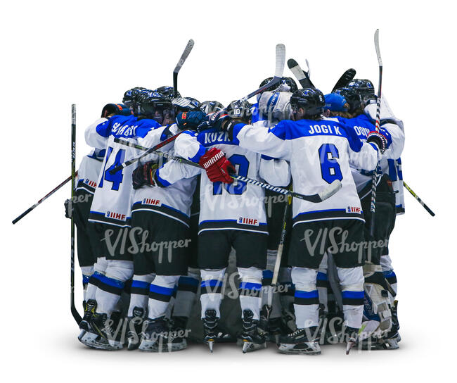 hockey team standing in a group