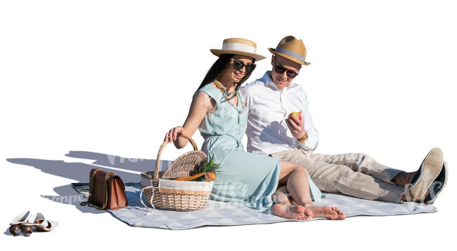 fancy couple having a picnic