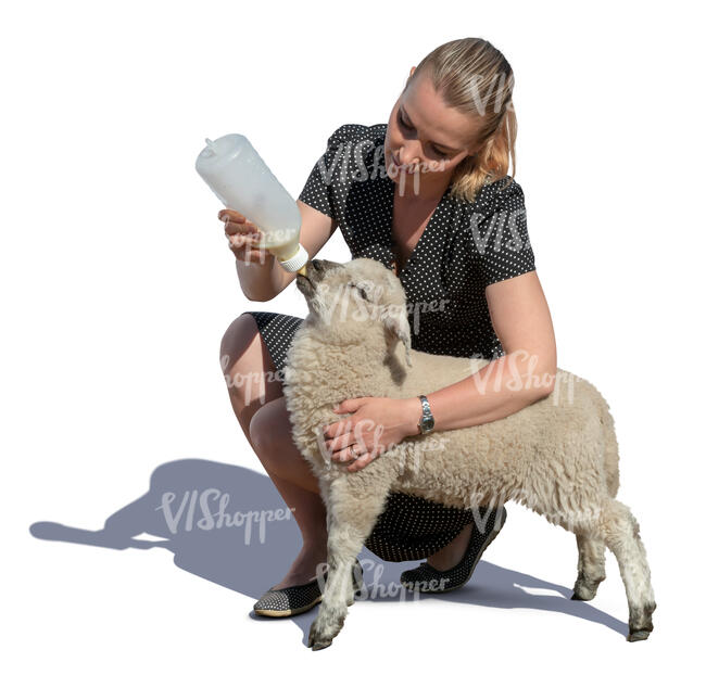 woman feeding milk to a little lamb