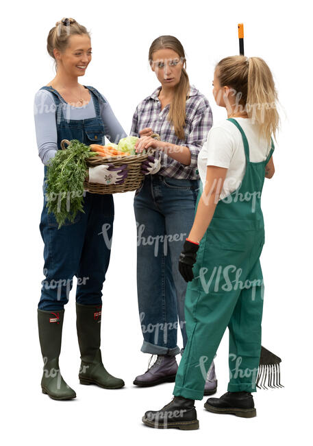 cut out three women standing in a garden and talking