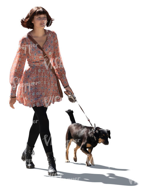 cut out young backlit woman walking a dog