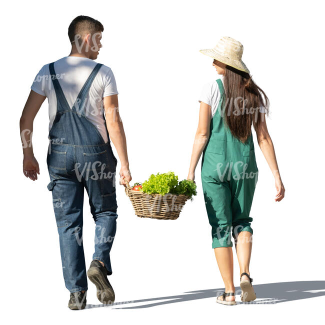 cut out man and woman walking and carrying a box of vegetables