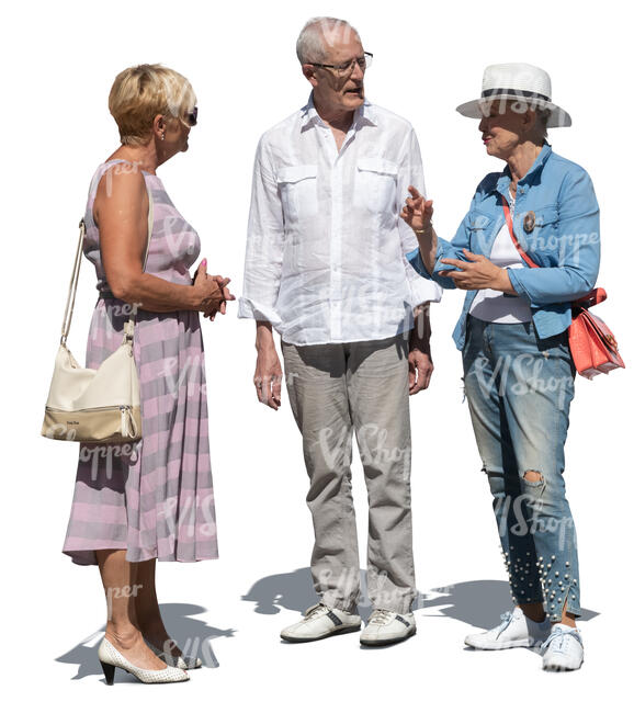 cut out group of elderly people standing and talking