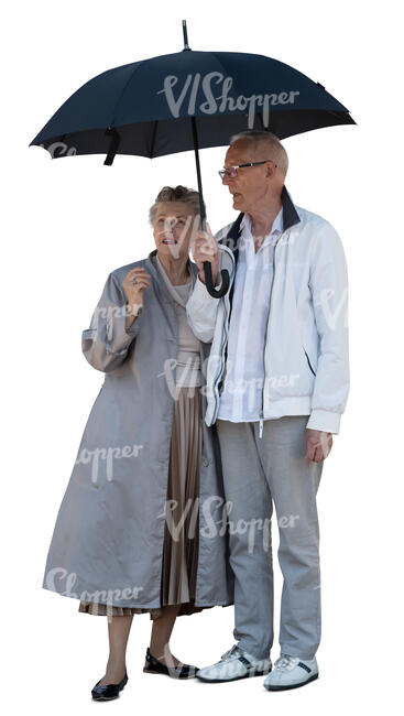 cut out elderly couple standing under an umbrella