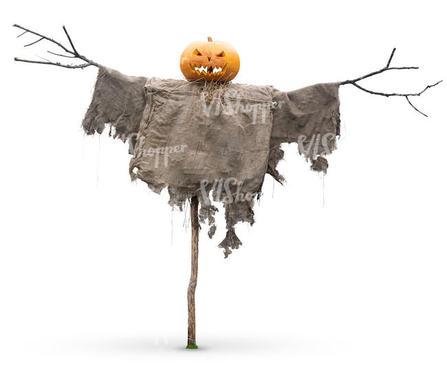 cut out halloween scarecrow in daylight