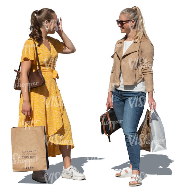 two cut out young women shopping and talking