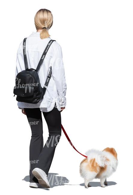 cut out woman walking a little hairy dog