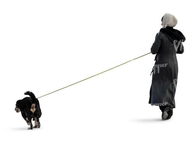 cut out woman in a winter overcoat walking a dog