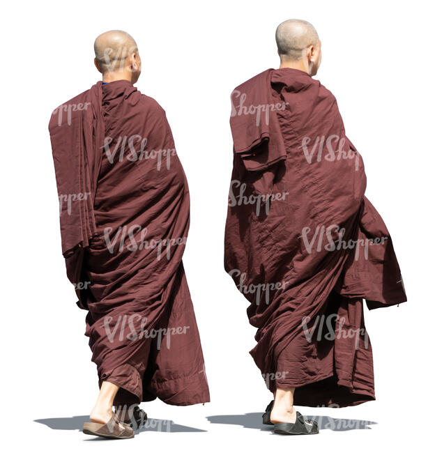 two buddha monks walking