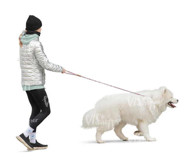 cut out woman walking a big white fluffy dog