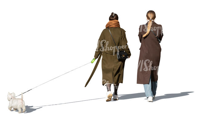 two cut out women in brown overcoats and a dog walking