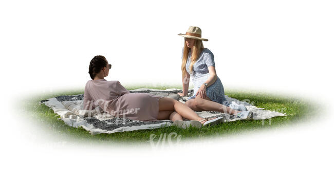 two cut out women sitting in a park on the grass under a tree shadow