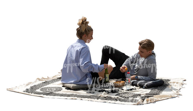 cut out man and woman having a picnic on the grass