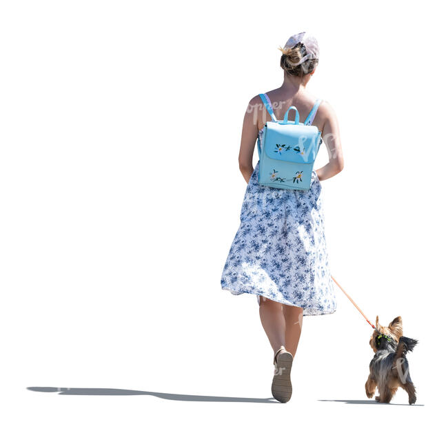 cut out young woman wih cute little dog walking